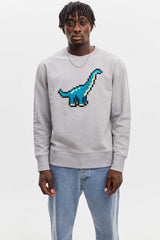 Dinosaur Sweatshirt