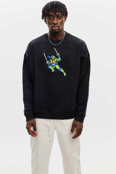 fightingturtlebluesweat-